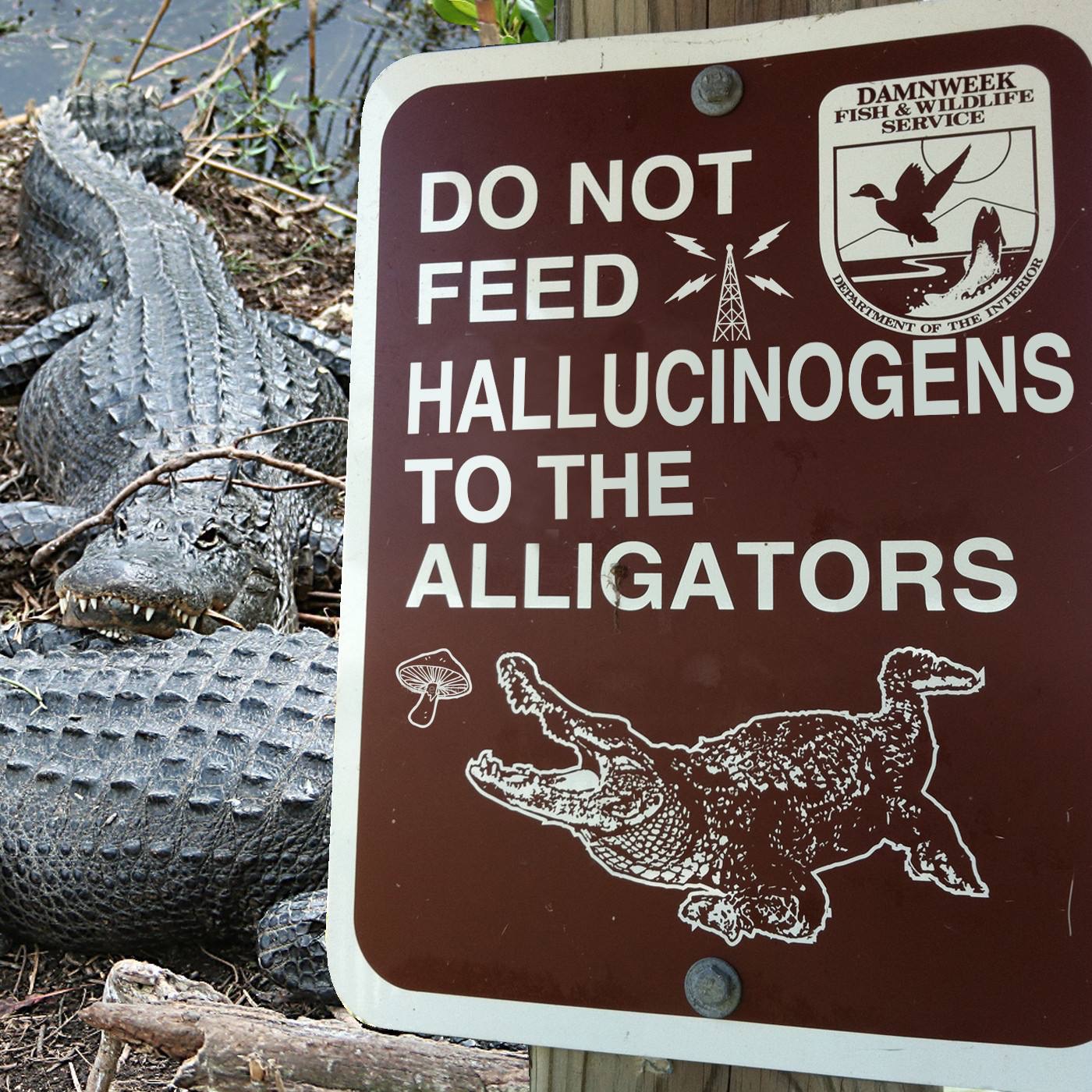 Beware of Tripping Alligators and Fake Warning Signs - Lawhaha.com - Andrew McClurg's Legal Humor